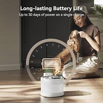 Cheerble PET FOUNTAIN E1+ ペット給水機 Pet Fountain Elfin E1+ | Fresh Water for Pets | Buy Now